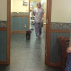 Oak Island Animal Hospital