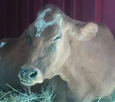 William S. Hart Ranch and Museum - Newhall, CA