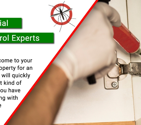 Terminate Pty Ltd - Bourkelands, NSW. Commercial Pest Control Experts