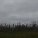 Loew Vineyards