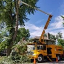 BJ's Landscaping & Tree Service - Tree Service