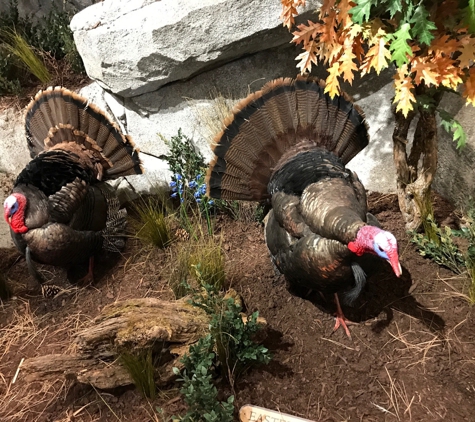 Cabela's - Gainesville, VA