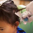 Lice Clinic of America - Management Consultants