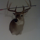 TrophyTakers Taxidermy
