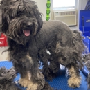 Springfield Side Kick Dog Training, Boarding, Daycare & Grooming - Pet Boarding & Kennels