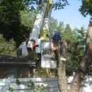 Monkey Tree Service - Tree Service