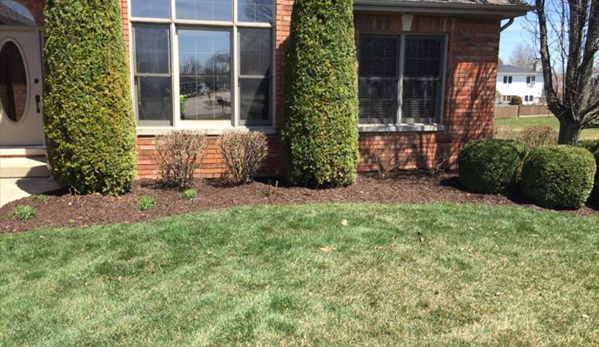 Jim's Lawn Care - Monee, IL