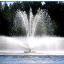 Turtle Fountains - Landscaping Equipment & Supplies