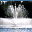 Turtle Fountains - Fountains Garden, Display, Etc