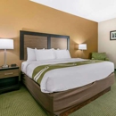Quality Inn - Motels