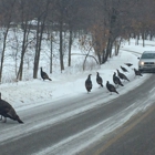 Fort Snelling State Park