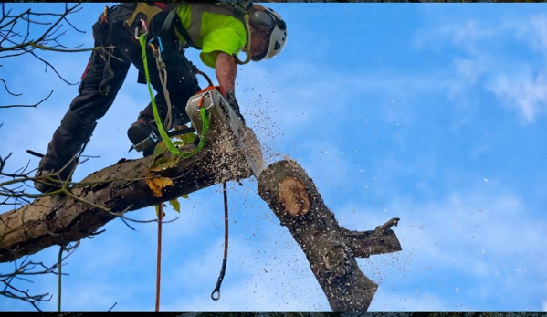 Dale's Tree Service