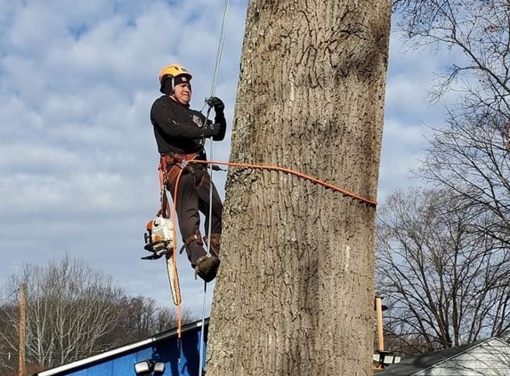 Larry''s Family tree service LLC - Parkersburg, WV