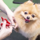 Dog Grooming Academy of Indianapolis - Industrial, Technical & Trade Schools