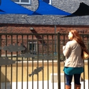 Woods Hole Science Aquarium - Public Aquariums