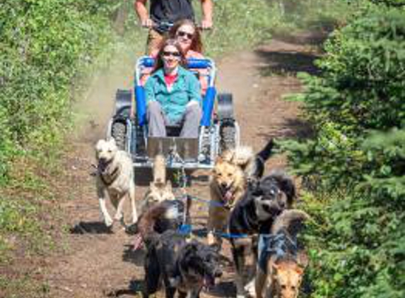 Alaskan Husky Adventures - Willow, AK