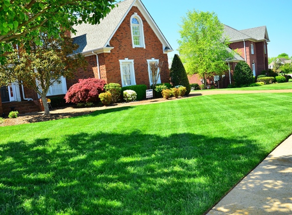 D&a's lawn company - Gastonia, NC