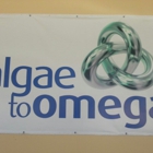 Algae To Omega