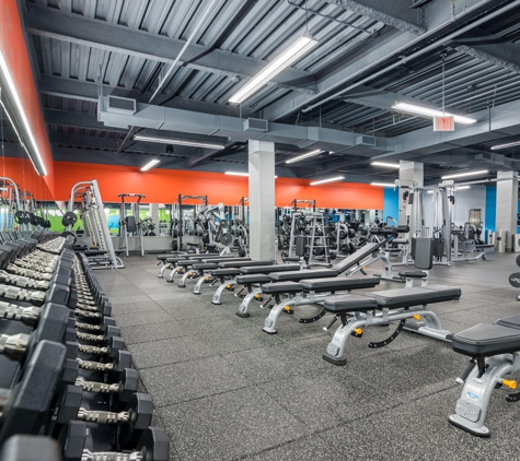 Blink Fitness - Bronx, NY