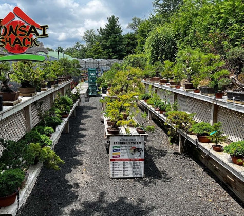 The Bonsai Shack - Pomona, NY