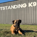 Outstanding K9 - Pet Training