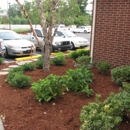 Envirogreen - Landscape Contractors