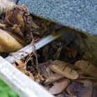 Georgia Pressure Washers and Roof Cleaning