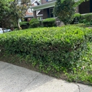 The Pine Needle Man Landscaping - Landscaping & Lawn Services