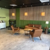 Fresh Monkee - Royersford gallery