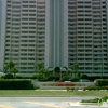 Landmark Towers At Sand Key gallery