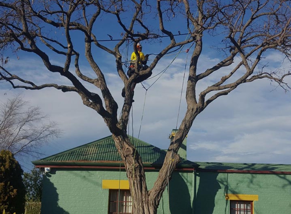 Horizon Tree Service - Brighton, TAS