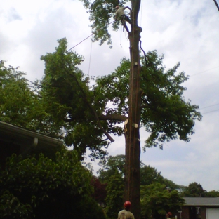 Long's Tree Service - Annville, PA