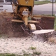 Ball's Stump Grinding