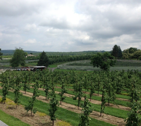 Belltown Hill Orchards - South Glastonbury, CT