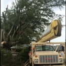 B & H Tree Service - Tree Service