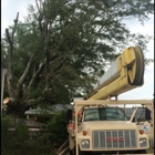 B & H Tree Service