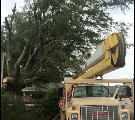 B & H Tree Service - Amory, MS