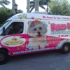 Fancy Pets Mobile Grooming, LLC gallery