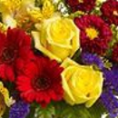 Creative Flowers - Flowers, Plants & Trees-Silk, Dried, Etc.-Retail