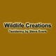 Wildlife Creations Taxidermy