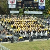 Golden Lion Stadium gallery