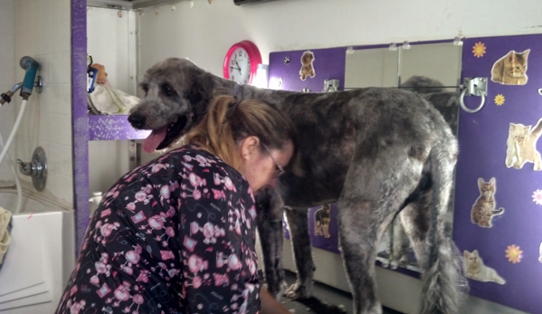 Mandy's Mobile Pet Grooming Salon - Dunnellon, FL