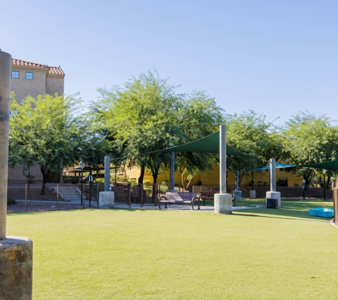 Liv Avenida Apartments - Chandler, AZ