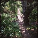 Temescal Gateway Park - Parks