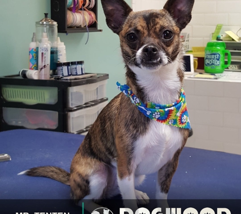 Dogwood Grooming Spa - Knoxville, TN