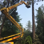 Spokane Tree Pro