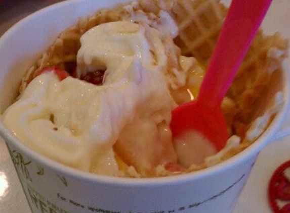 Tutti Frutti Frozen Yogurt - Durham, NC