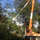 Copiah Tree Service