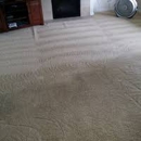 Organic Carpet Cleaning Encino - Carpet & Rug Cleaners