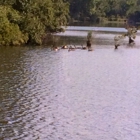 The Lake Restaurant